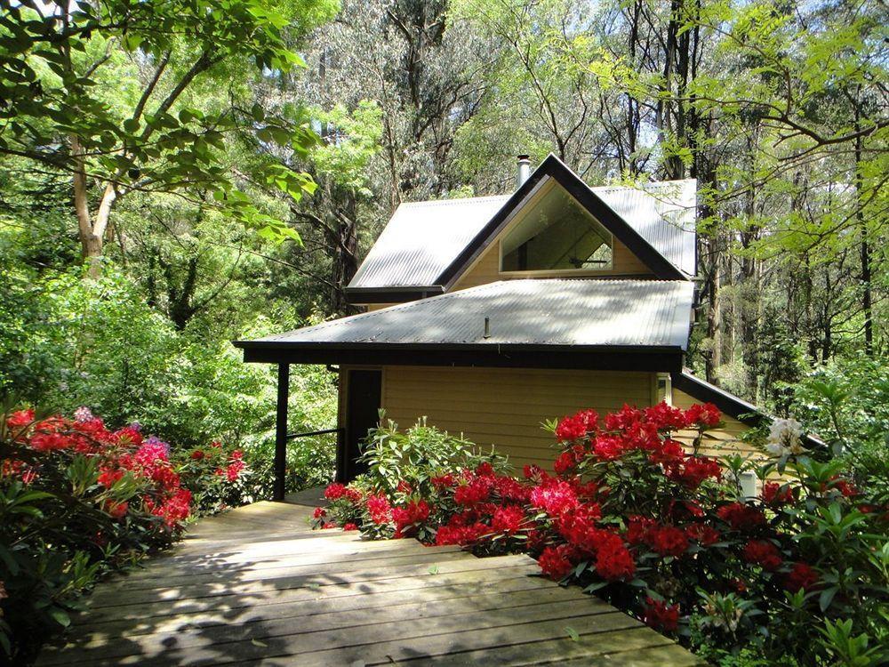 Lochiel Luxury Accommodation Olinda Esterno foto