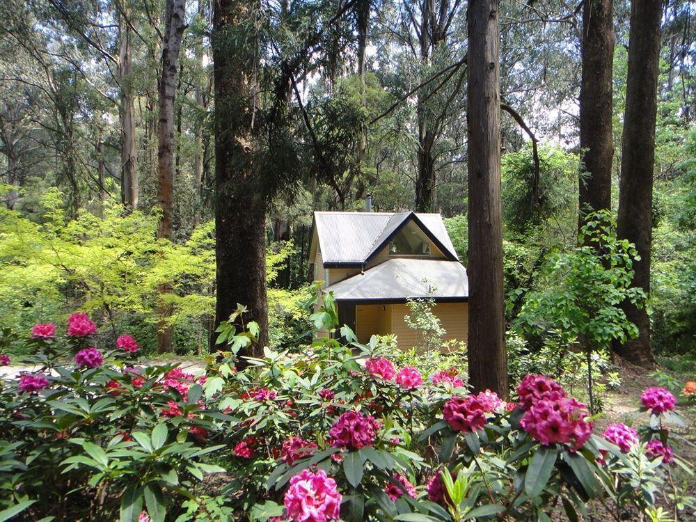 Lochiel Luxury Accommodation Olinda Esterno foto
