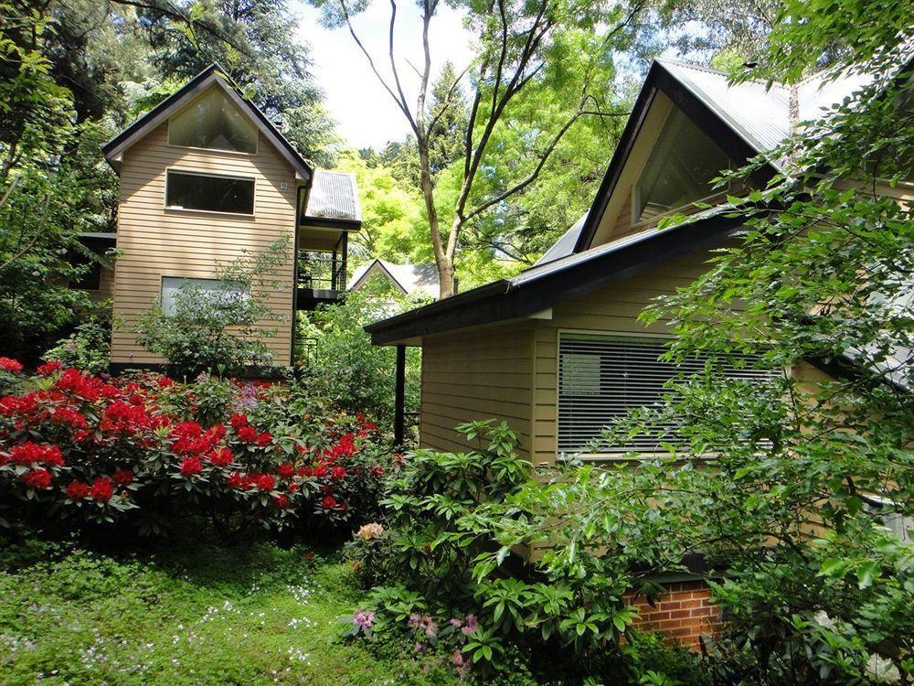 Lochiel Luxury Accommodation Olinda Esterno foto