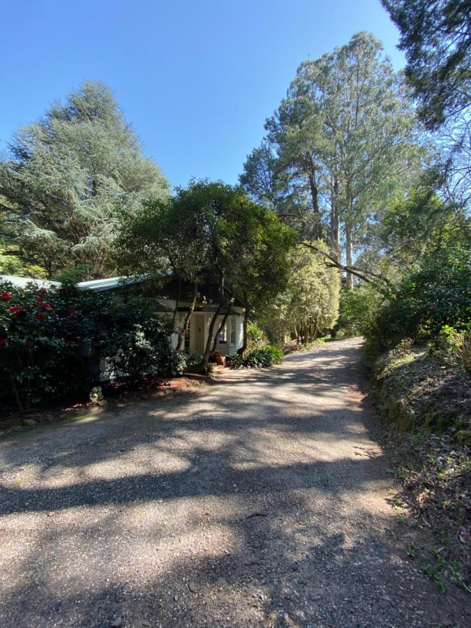 Lochiel Luxury Accommodation Olinda Esterno foto