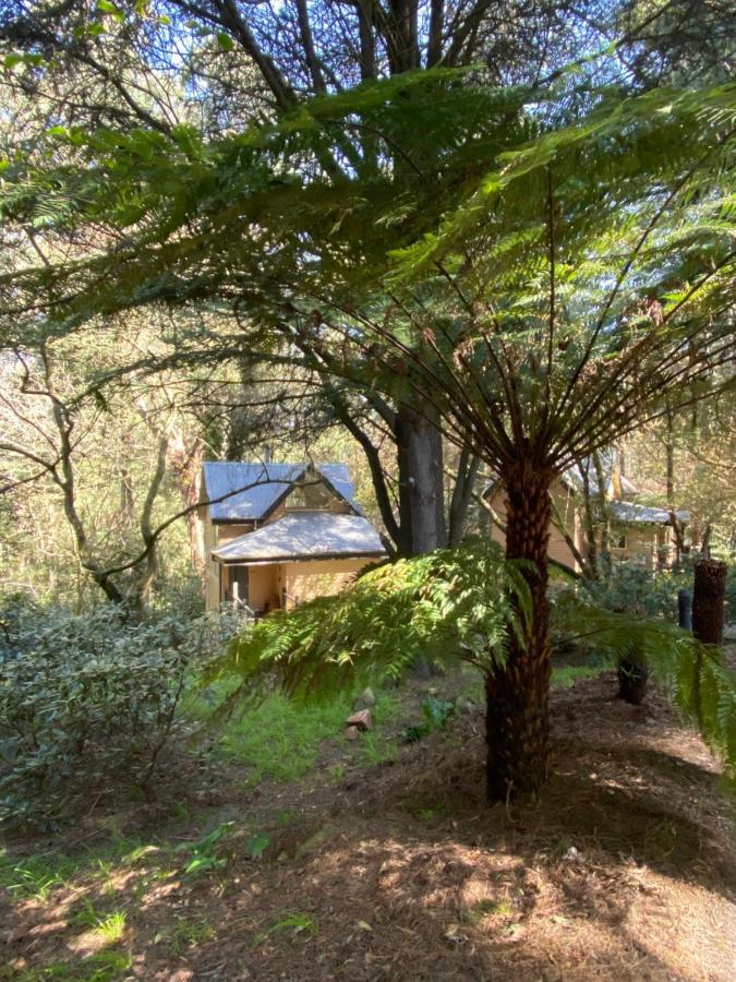 Lochiel Luxury Accommodation Olinda Esterno foto