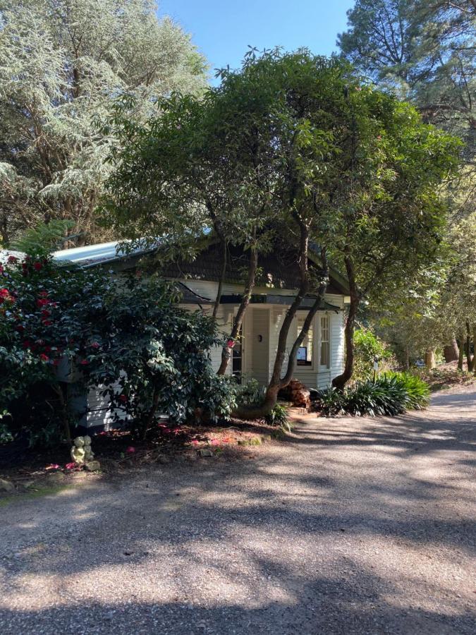 Lochiel Luxury Accommodation Olinda Esterno foto